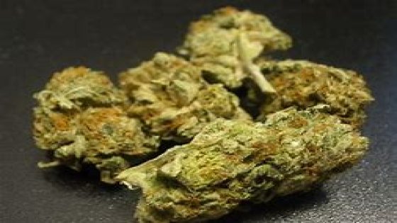 Using Marijuana