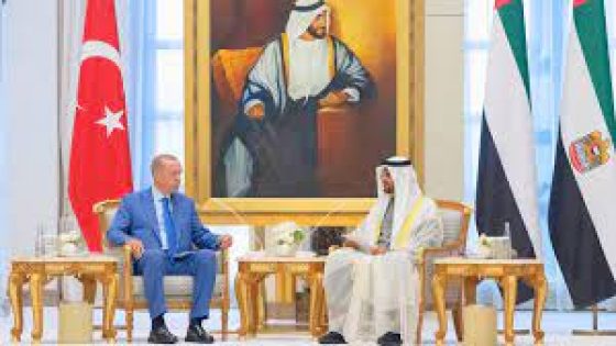 رئيس الإمارات يستعرض أوجه التعاون مع نظيره التركي